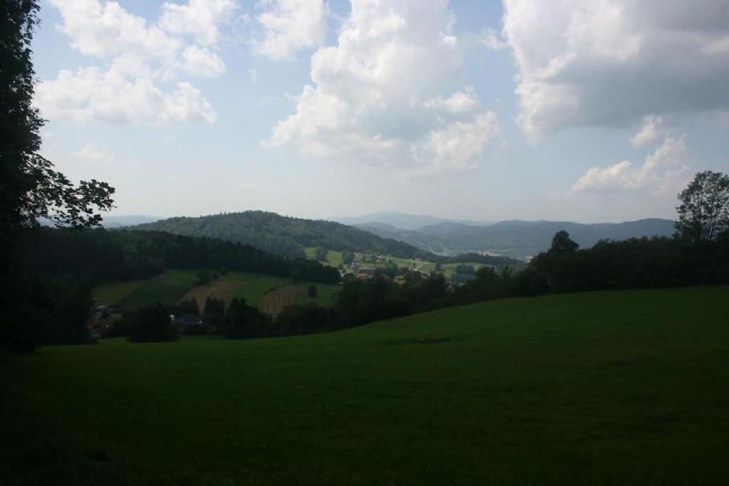 Ferienhaus Toso Freyung Exteriér fotografie